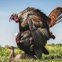 Dave Smith Decoys Mating Motion Pair
